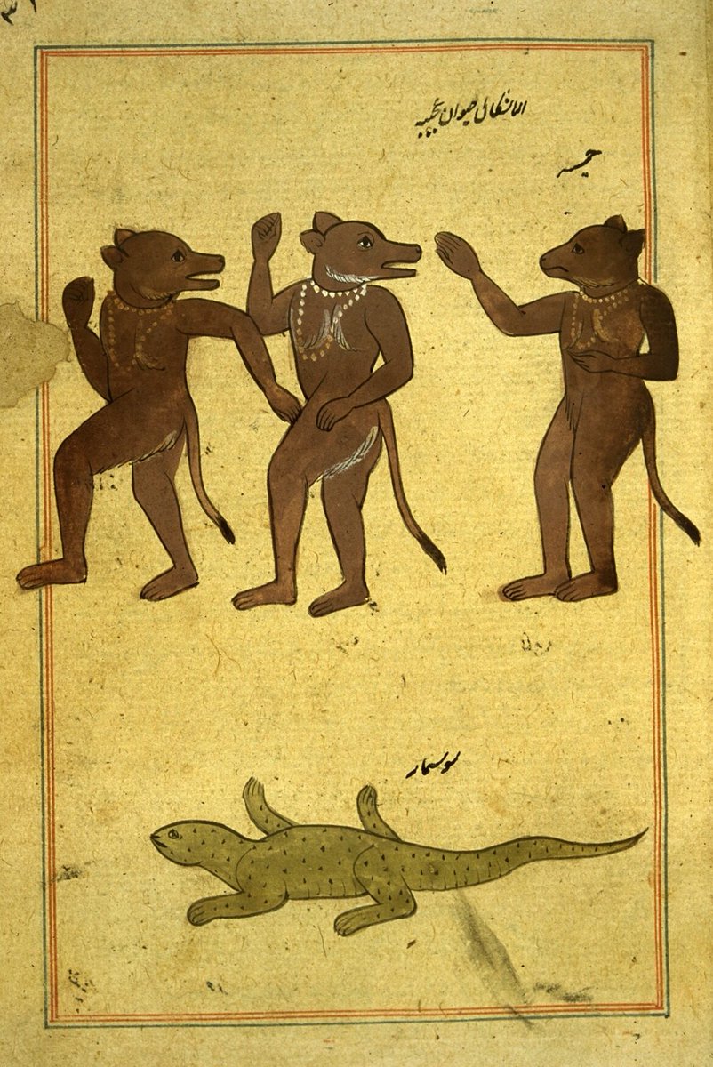 Archaeology & Art (@archaeologyart) on Twitter photo The sea scenes invite a different kind of looking. Fish parade across the page with whiskers like cats, wings like birds or even a human face. In medieval cosmography the oceans were the great unknown, so writers populated them with marvels.
Other folios teem with jinn. Some The sea scenes invite a different kind of looking. Fish parade across the page with whiskers like cats, wings like birds or even a human face. In medieval cosmography the oceans were the great unknown, so writers populated them with marvels.
Other folios teem with jinn. Some