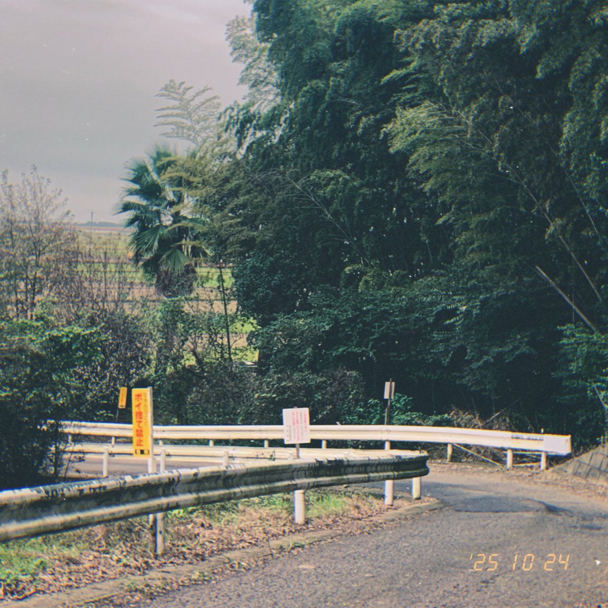 spring_asagi's tweet image. 