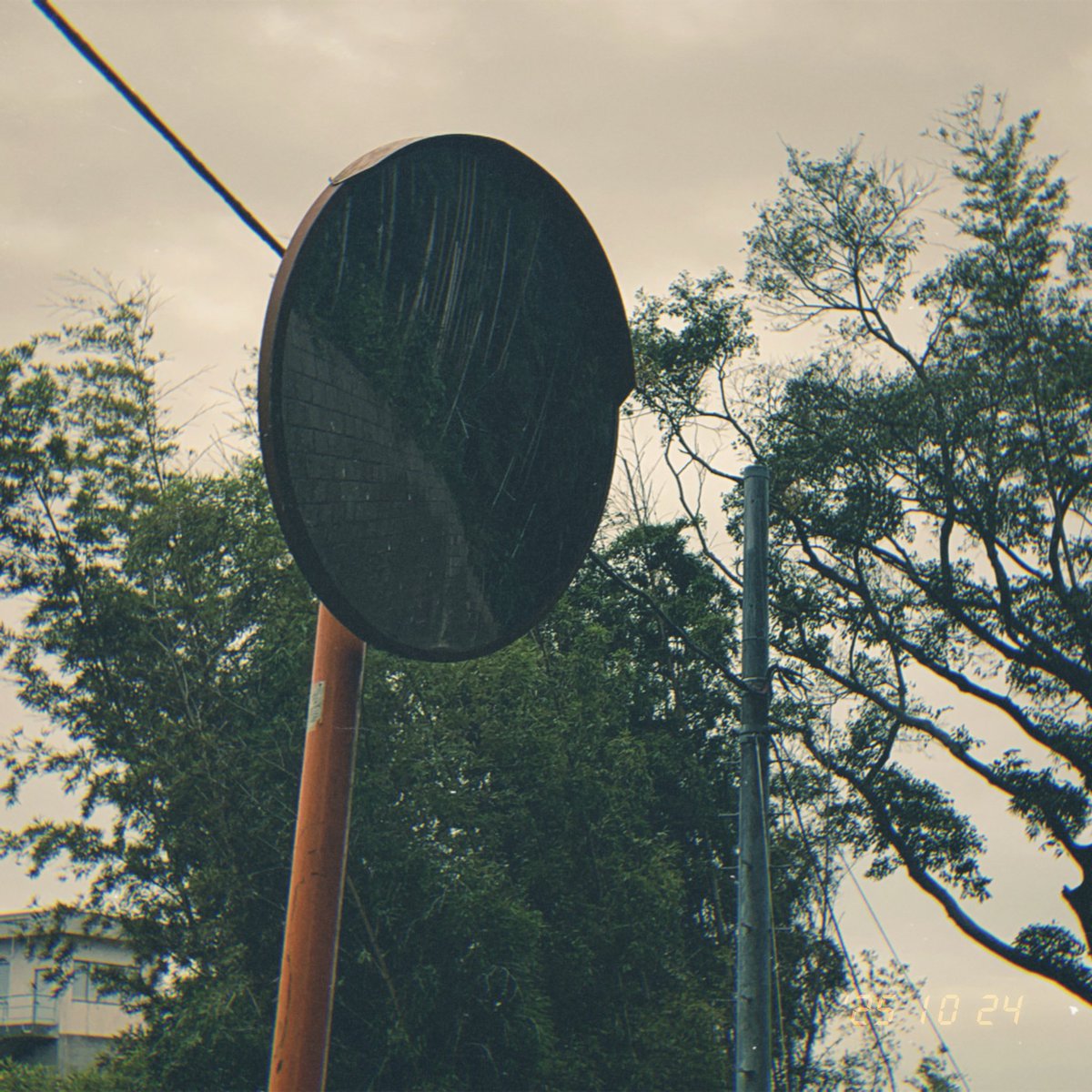 spring_asagi's tweet image. 