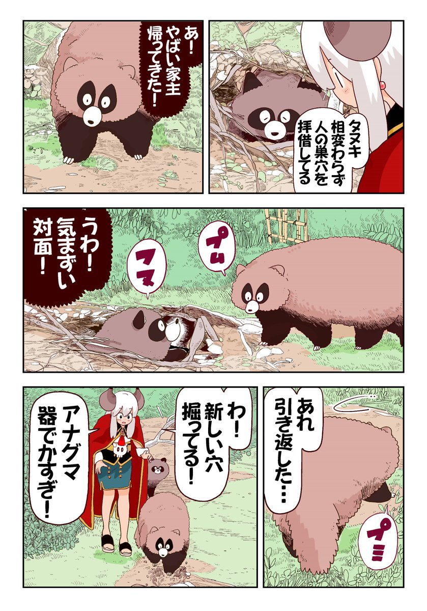 【注意】たぬきはアナグマの巣穴を勝手に拝借することがあります!! 