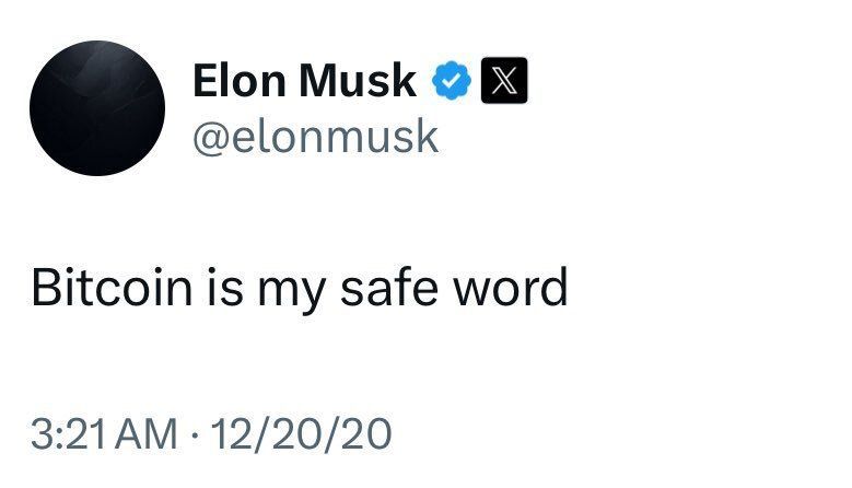 Bitcoin Teddy tweet media