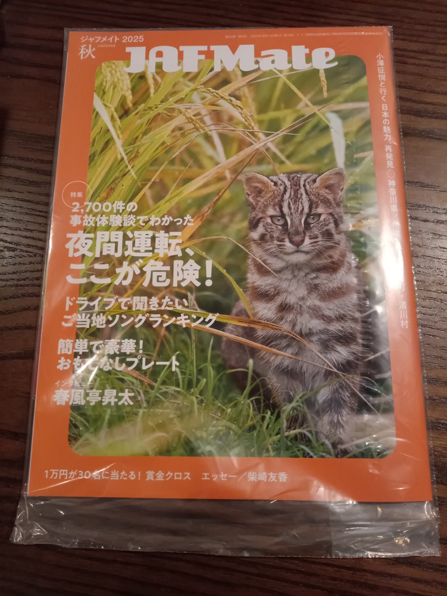 うちにも来た🌾🐱