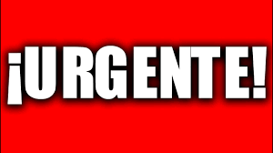 @marcfer99 tweet media