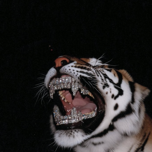 Gm Legends ☕️☀️🌴

Uptober’s been a little anticlimactic, but Q4’s still got plenty left in the tank.

We’ve got the next FOMC meeting in 5 days, &amp; odds are sitting at almost 99% for a 25bps rate cut.

Trump ✘ Xi are meeting in Korea later this month, the U.S. government’s