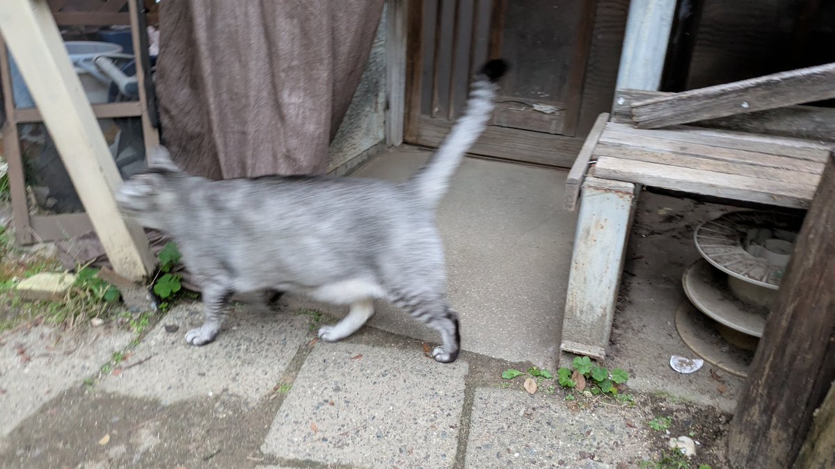 みわみわ。 木目調のハンドルとつまみがおしゃれなやかん ヤカン ステンレス