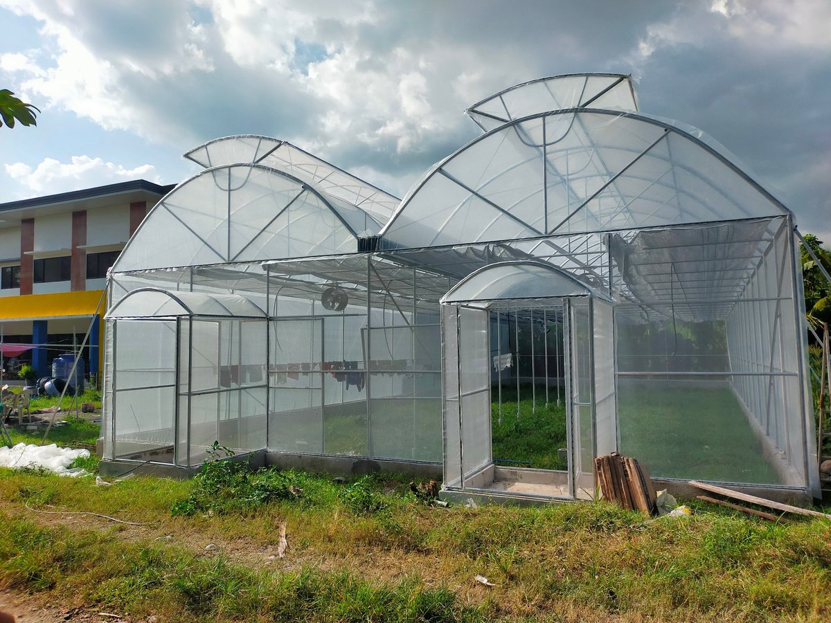 worldvisionph's tweet image. In partnership with the Citi Foundation, World Vision also continues its efforts through Project AID (Agricultural Innovation Development) in Negros Occidental.

#WorldVisionPH #ClimateAction #HopeInAction
#Sustainability #ProjectAID #NegrosOccidental