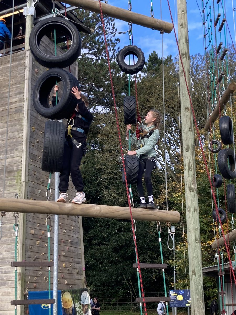 Layton Trips tweet media