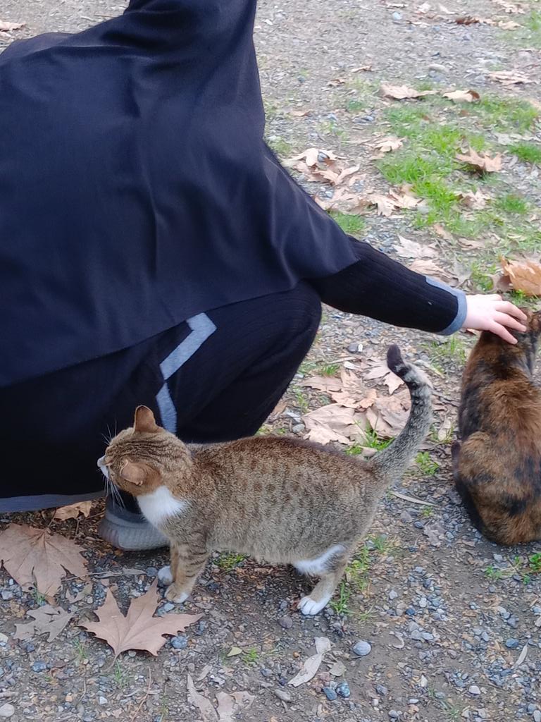 SSDRESCU's tweet image. With all sadness and oppression for those poor animals We live every day in Hunger and oppression Please, please Just look with compassion For those poor people a small pledge can happen Big difference 🙏🙏💔💔💔🙏🙏🆘🆘🆘🆘🆘🙏🙏🙏💔🍗🍗🍗🍗