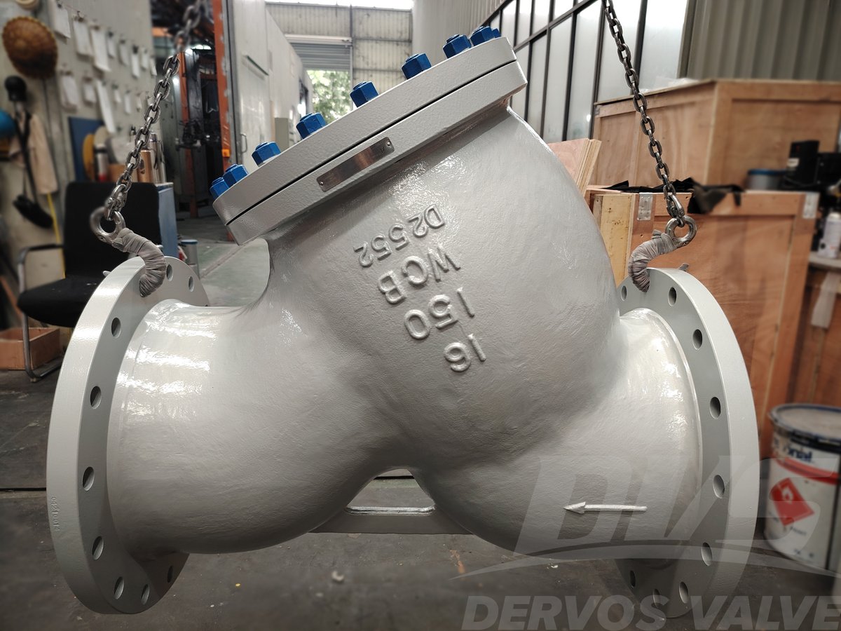 DervosValve's tweet image. 16” 150LB Y Type Strainer WCB ASME B16.34 FF
dervosvalve.com/16-150lb-y-typ…
#IndustrialValves #Valves #FlowControl #Engineering #strainer