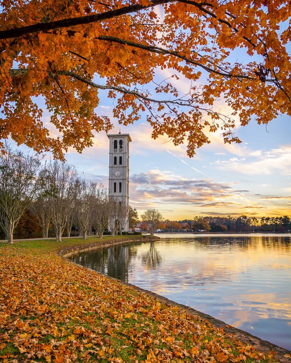 Good Friday morning from the great state of South Carolina! 😁