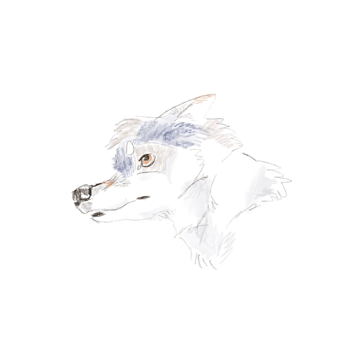 MARUSEI (@marusei__) on Twitter photo 