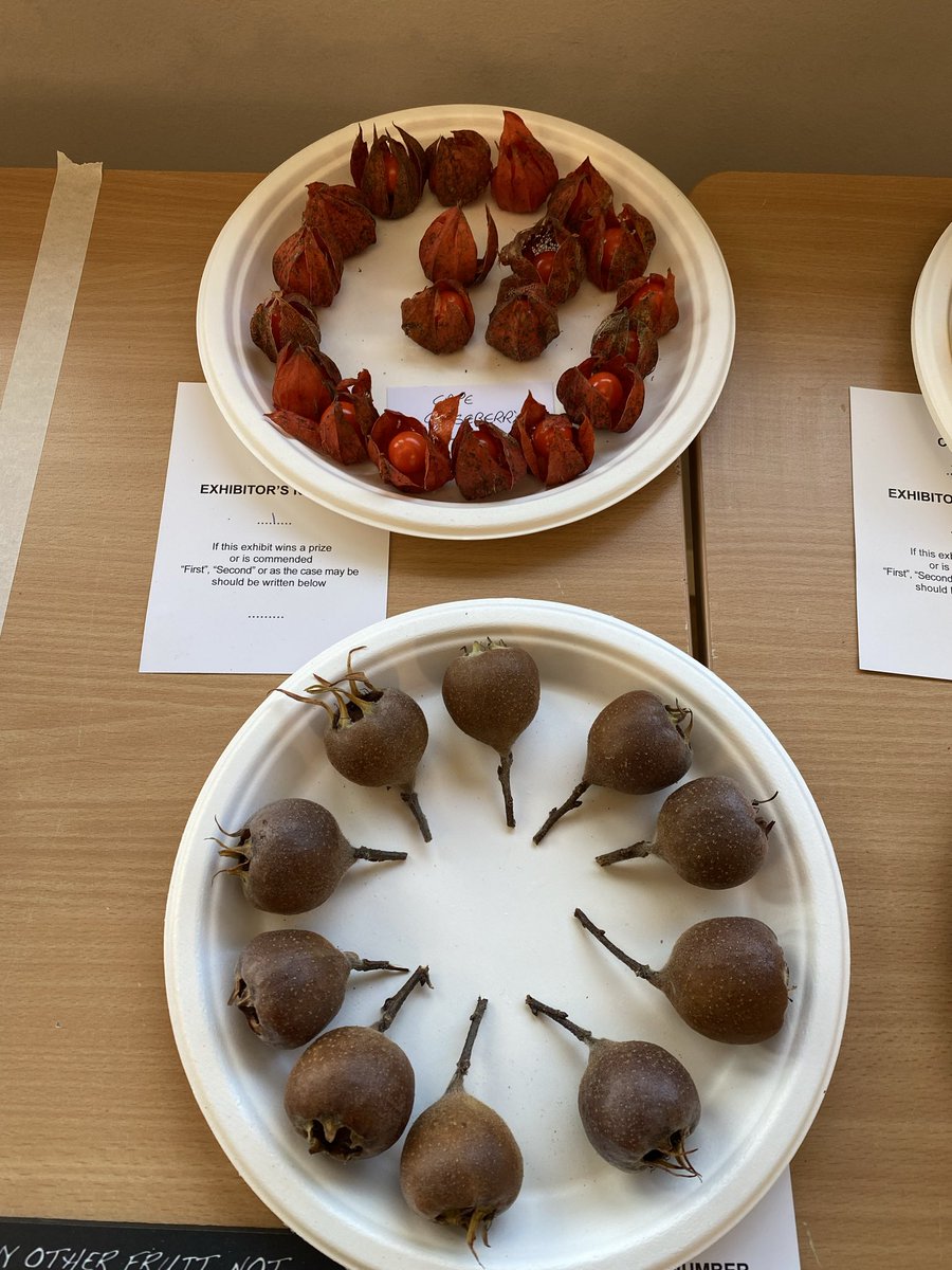 Medwyn Williams tweet media