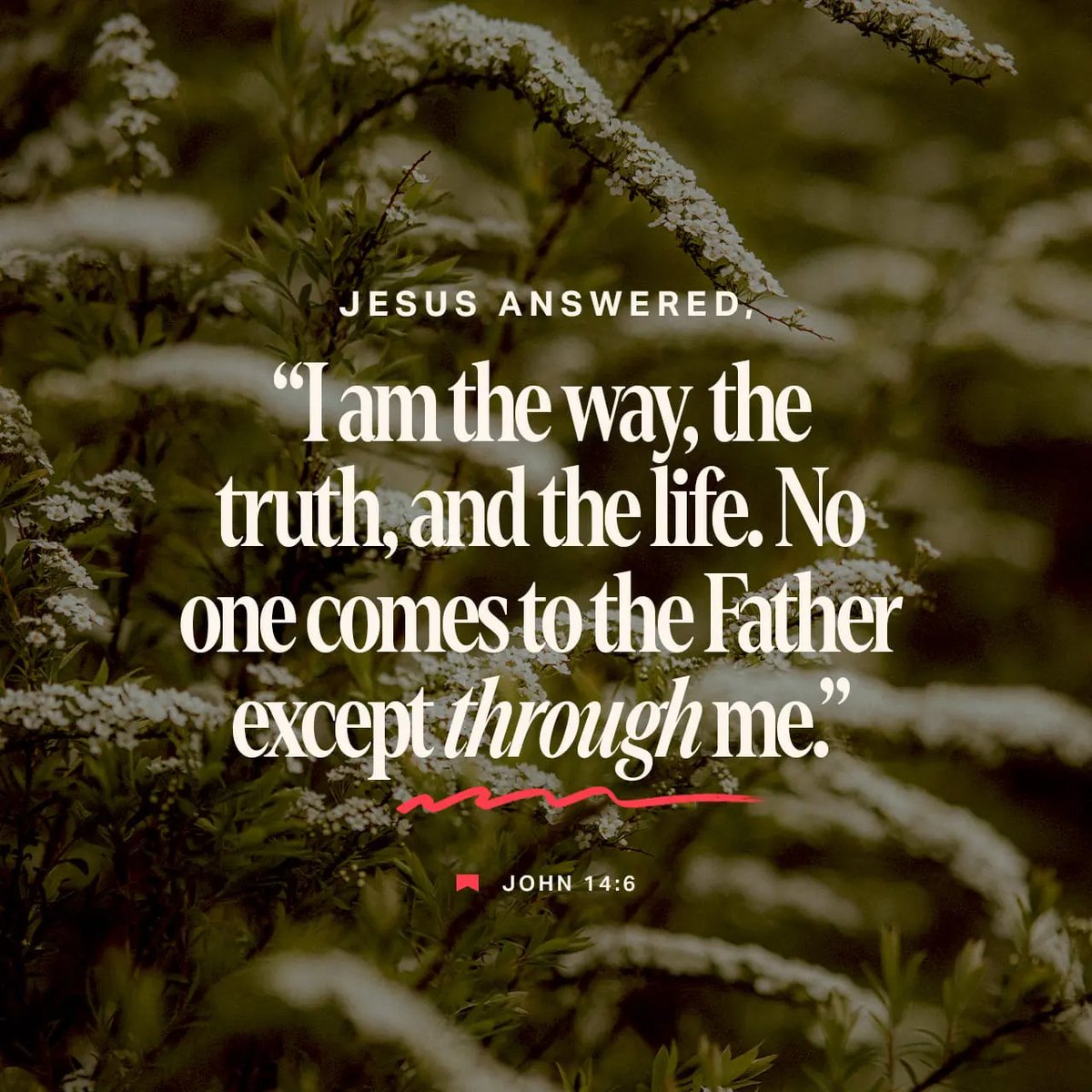 YouVersion's tweet photo. John 14:6 https://t.co/GCrwUoS6VV