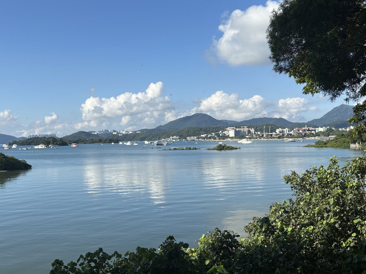 Gregg Morrison tweet media