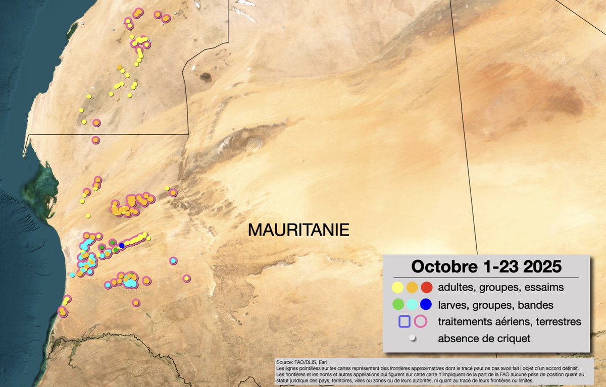 🚨Alerte dans la region occidentale: La résurgence de criquet pelerin s’étend

➡️Vue d'ensemble: La résurgence localisée en Mauritanie s'est étendue à tout l'ouest Mauritanien et au Sahara occidental.

fao.org/locust-watch/fr

#DesertLocust
