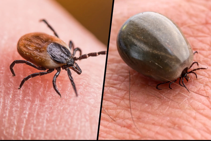 X_aggerator's tweet image. 