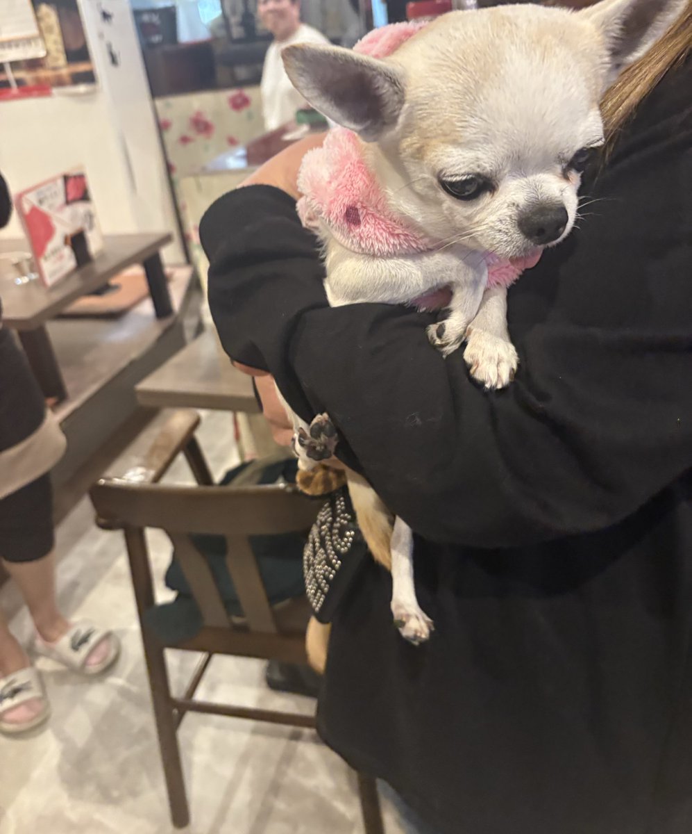 にゃん様 にゃん様😈💩 (@_aroro_966) / Posts / X