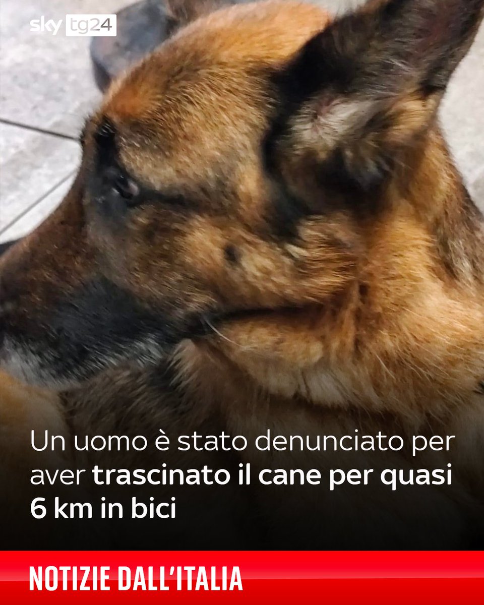 Sky tg24 tweet media