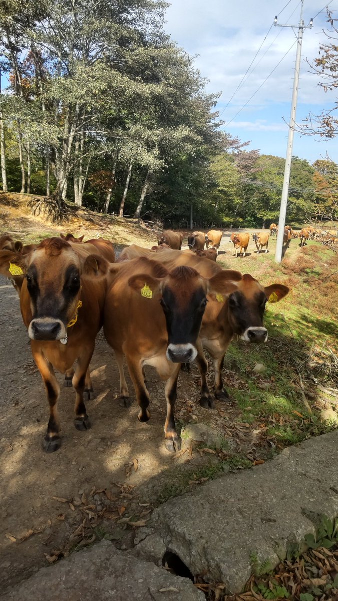 今日もお疲れさまです。
今週末もたくさんの
ご来場をお待ちしております。😀