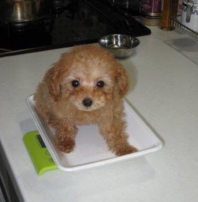 ななママ🦋 on X