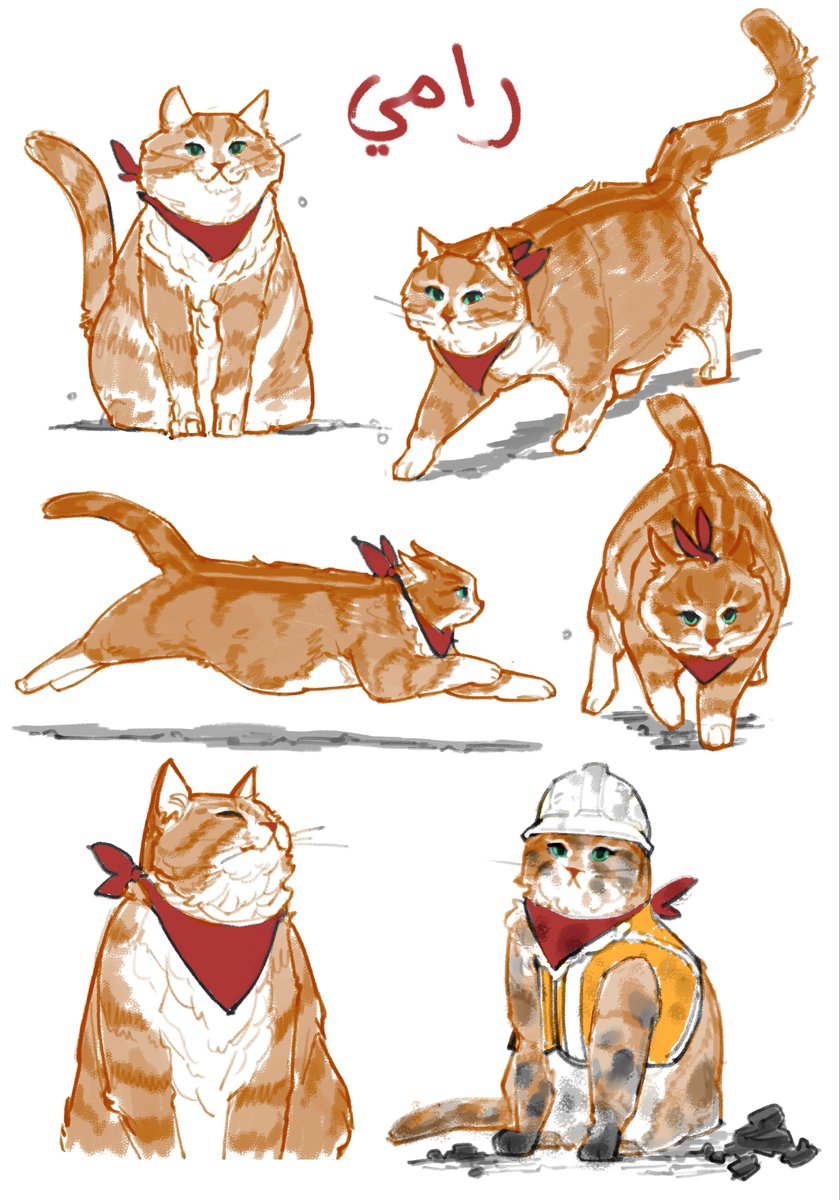 _AzizAlharthi's tweet image. 