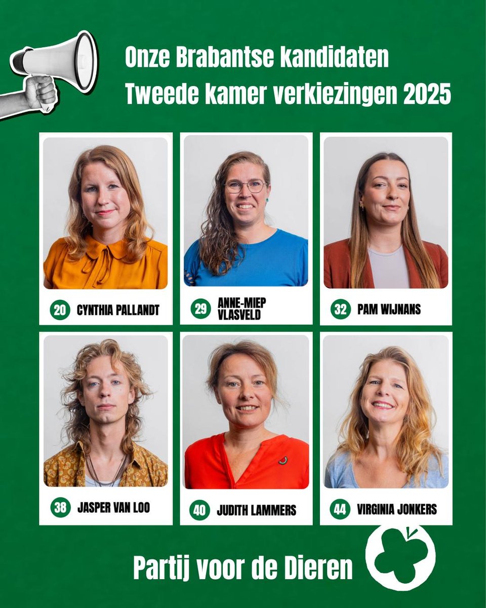 Maak kennis met onze fantastische Brabantse kandidaten voor de komende verkiezingen 💚🐷🌱

Samen staan ze voor een diervriendelijke, eerlijke en groene toekomst. Binnenkort stellen zij zich verder voor!

Kies 29 oktober voor een kandidaat uit jouw regio
#pvdd #natuurlijk #TK2025