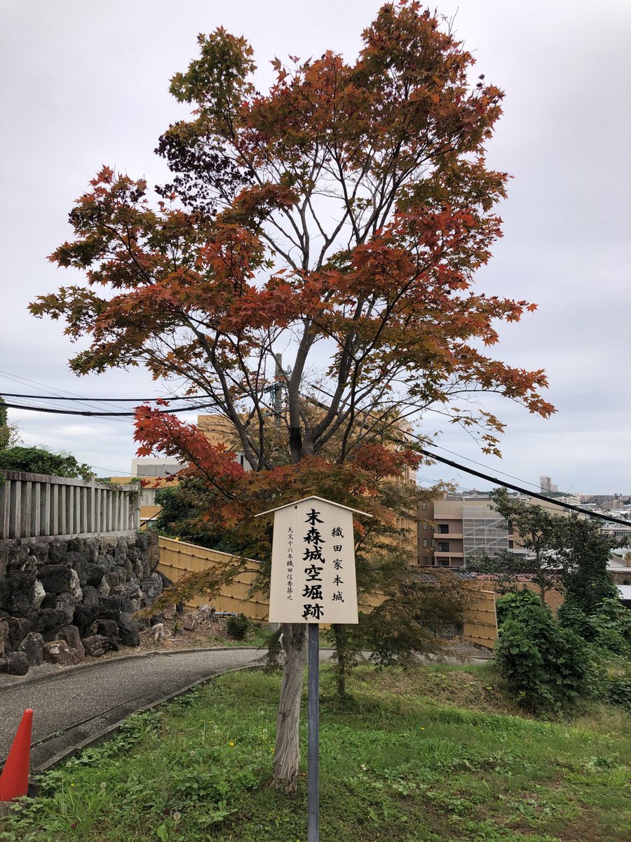 Чудо-дерево(不思議な木)

幼児用絵本　洋書 しんちゃん on X
