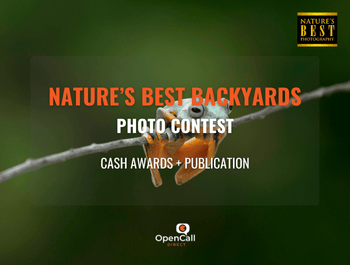 OpenCallDirect's tweet image. The 2025 Nature’s Best Backyards Photo Contest opencalldirect.com/photo-competit…