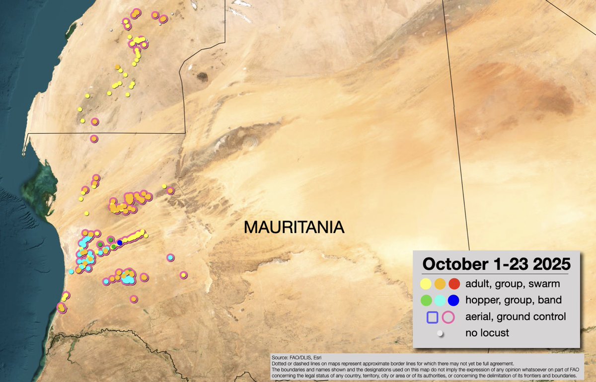 FAOPlants's tweet photo. 🚨Alert in the Western Region: The desert locust outbreak expand

➡️Overview: The localized outbreak in #Mauritania has spread throughout western Mauritania and into Western Sahara.

https://t.co/I9OsQ6vC9z

#DesertLocust https://t.co/fKkwc3kvvI