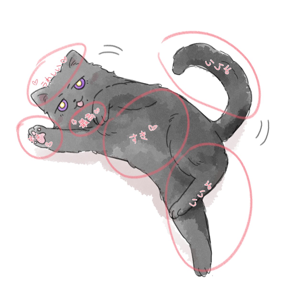 コマさんST-Studio ペイン KAME on X