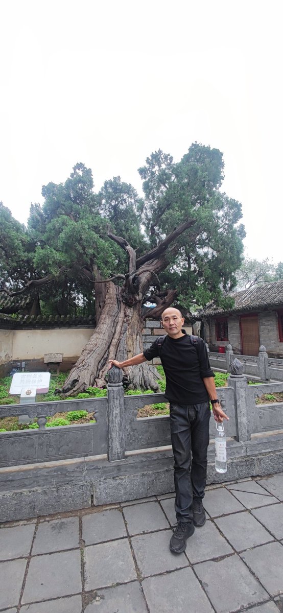 wangjiangliang's tweet photo. https://t.co/9Kw9RkNCFh
