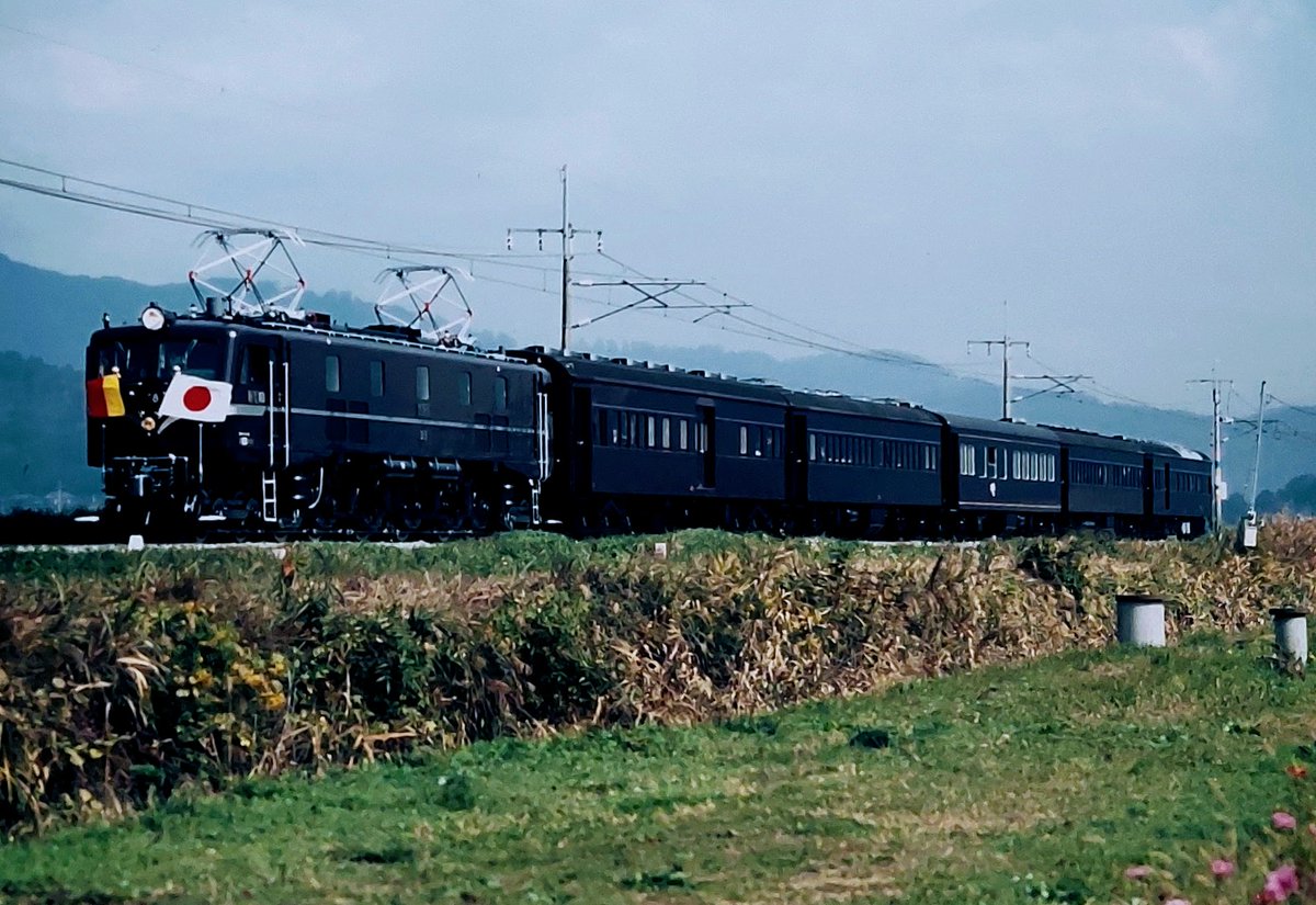 和櫻さん専用　ジャンボリアゲートのみ逃し有り 和櫻さん専用 ジャンボリアゲートのみ逃し有り Amazon | 双葉