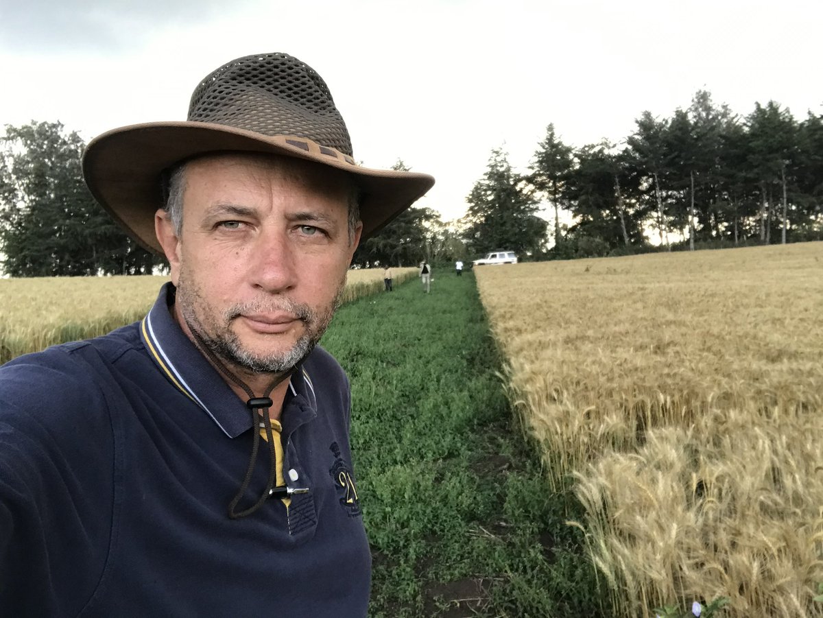 JeanBamanisa's tweet image. Le Blé 🌾 pousse aussi en RDC ;
En Ituri le projet s’est arrêté à cause des CODECO !
Dans le Katanga, Go Congo plante