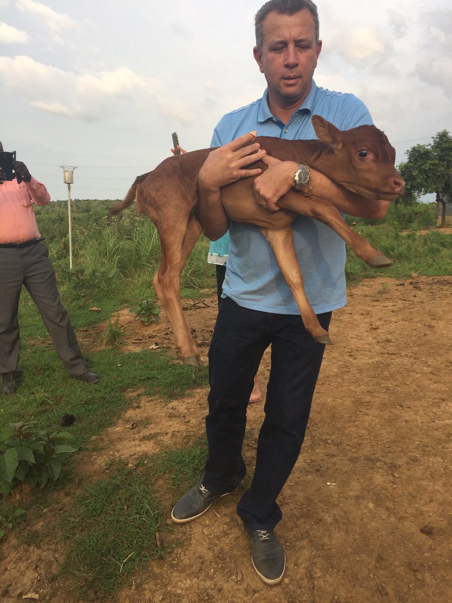 JeanBamanisa's tweet image. Le Blé 🌾 pousse aussi en RDC ;
En Ituri le projet s’est arrêté à cause des CODECO !
Dans le Katanga, Go Congo plante