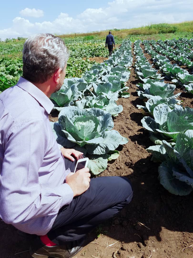 JeanBamanisa's tweet image. Le Blé 🌾 pousse aussi en RDC ;
En Ituri le projet s’est arrêté à cause des CODECO !
Dans le Katanga, Go Congo plante