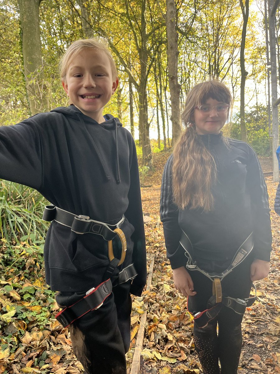 Layton Trips tweet media