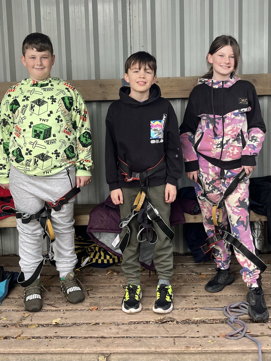 Layton Trips tweet media