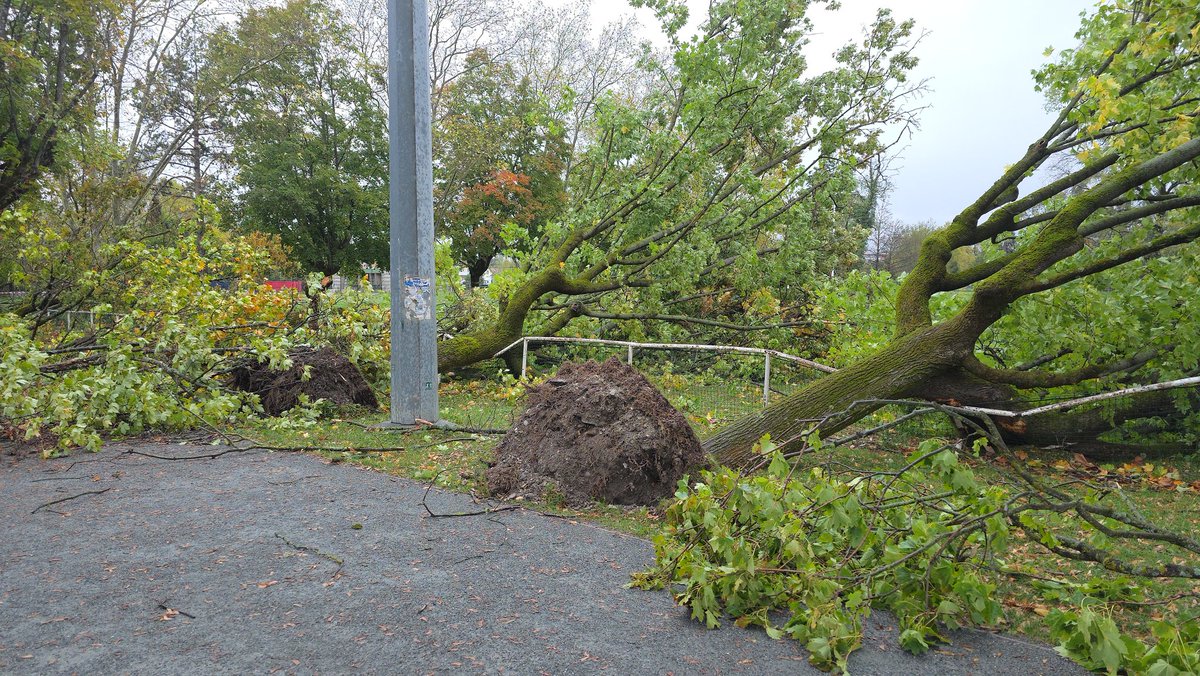 Tempête Benjamin en Isère.
Le parc Bachelard ravagé 😨.
Des arbres à terres par dizaines 😔.
<a href="/ledauphine/">Le Dauphiné Libéré</a> <a href="/MeteoExpress/">Météo Express</a> <a href="/MeteoGrenoble38/">Météo Grenoble</a> <a href="/MeteoIsere/">Météo Centre-Isère</a> <a href="/Meteovilles/">Guillaume Séchet</a> <a href="/ExtremeMeteo/">Extrême Météo</a> <a href="/infoclimat/">Asso Infoclimat</a> <a href="/KeraunosObs/">Keraunos</a> <a href="/KarineDurandpro/">Karine Durand</a> <a href="/UnMeylanais/">Un meylanais</a>.