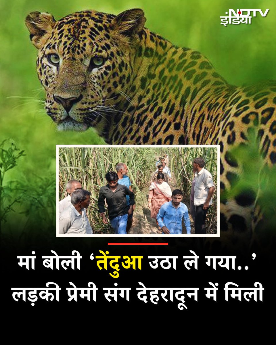 ndtvindia's tweet image. बिजनौर में बदनाम हुआ तेंदुआ..

उत्तर प्रदेश के बिजनौर जिले में एक हैरान कर देने वाला मामला सामने आया है. एक गांव में लड़की को तेंदुआ द्वारा खेत में उठा ले जाने की सूचना मिलने पर पुलिस और वन विभाग सारे दिन खेतों में ड्रोन उड़ाकर तलाश करता रहा. सैकडों गांव वाले भी हाथों में बल्लम,…