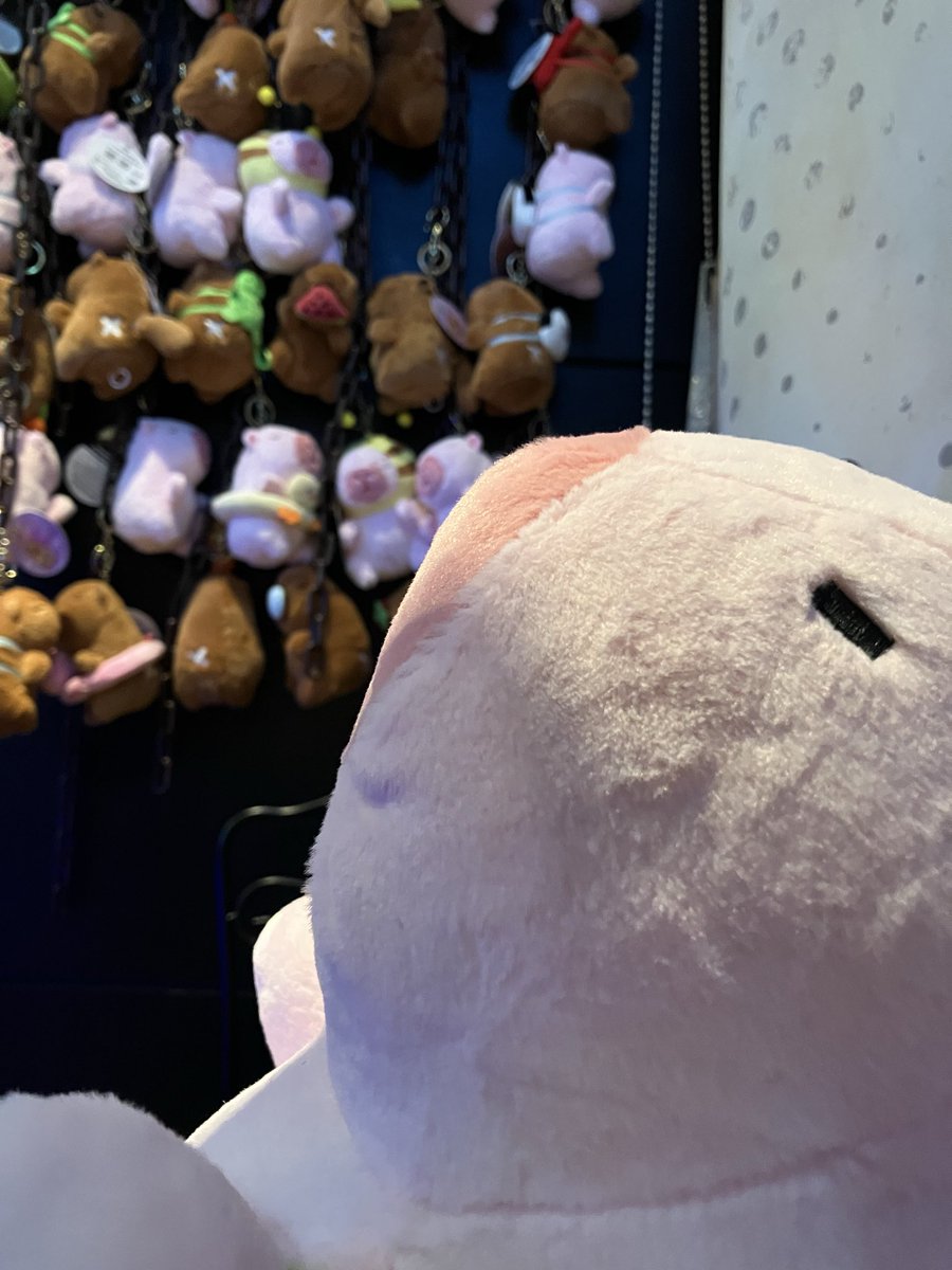 oumeriku's tweet photo. #チャビマルラリー2 https://t.co/SnSolL9LI0