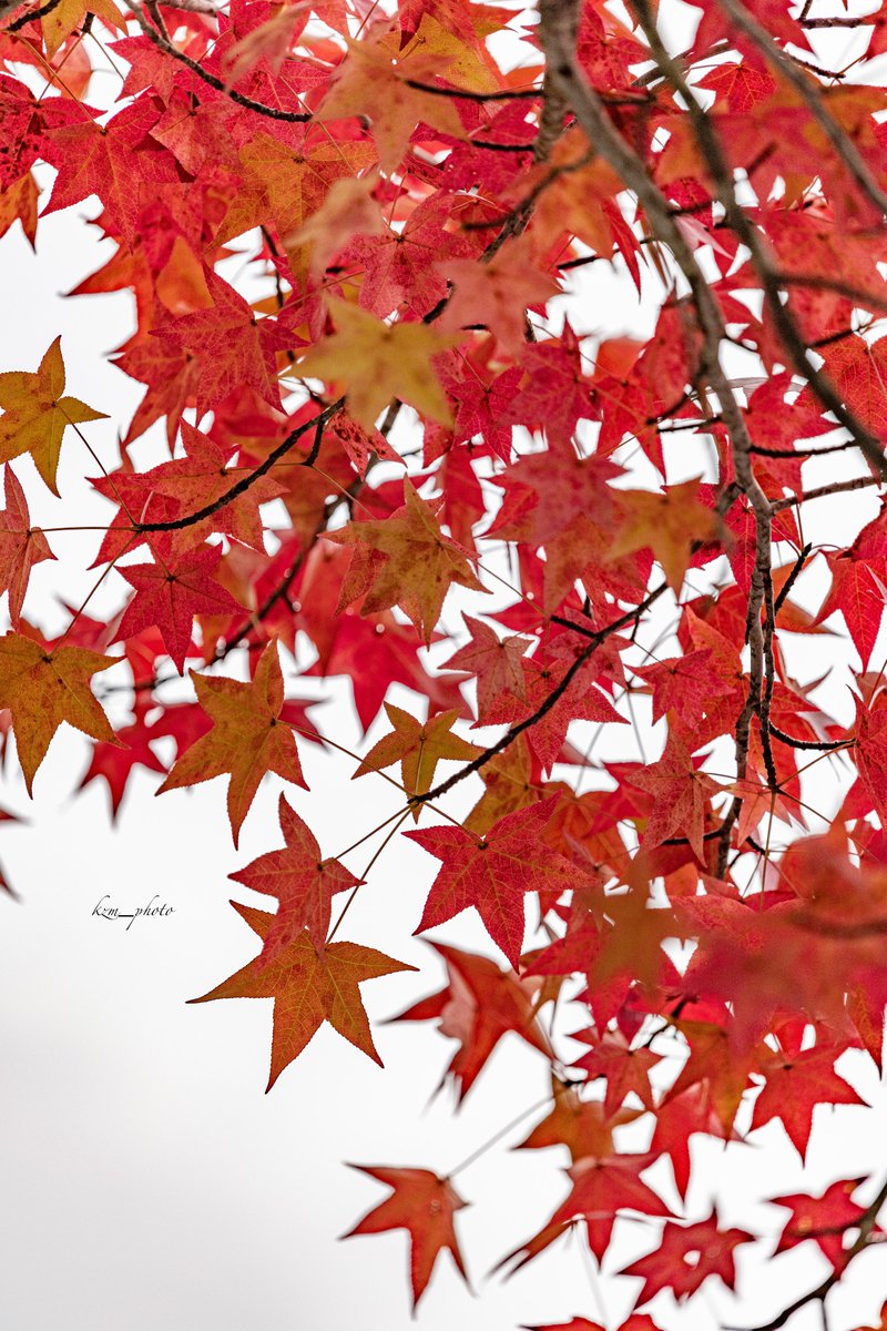 MMページ⭐︎風景　写真 忘れたくない旅の思い出を超広角レンズ「Tokina atx-m 11-18mm