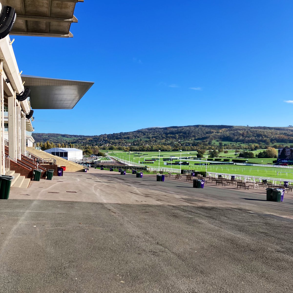 Never seen Cheltenham quite like it!

🤩