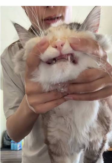 #ParfumsdeMarlyPHxWilliamEst 千葉4区 #BON_80Mviews #يوم_الجمعة 所信表明演説