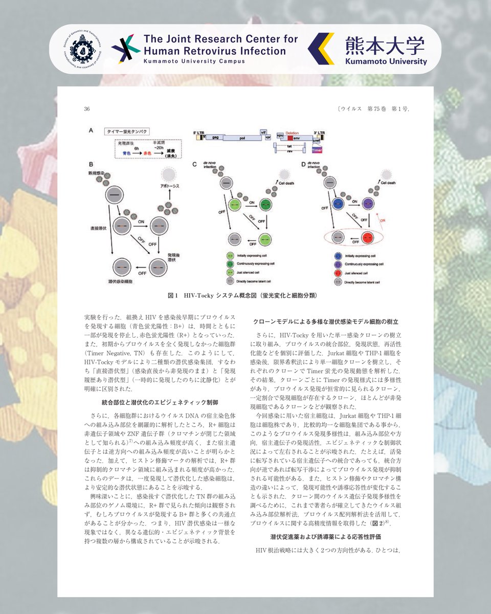 Satou Lab - Kumamoto University tweet media