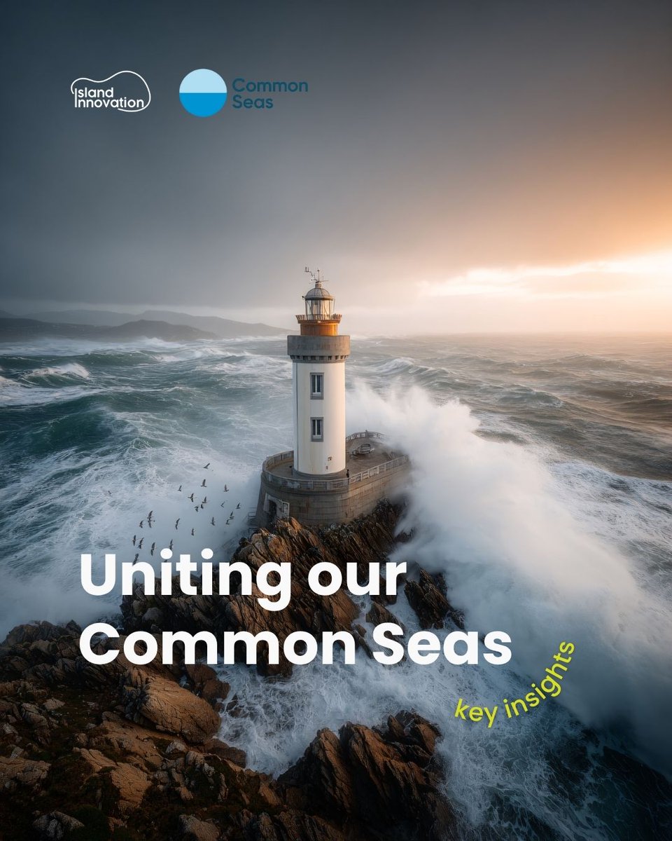 James Ellsmoor 🏝️ tweet media