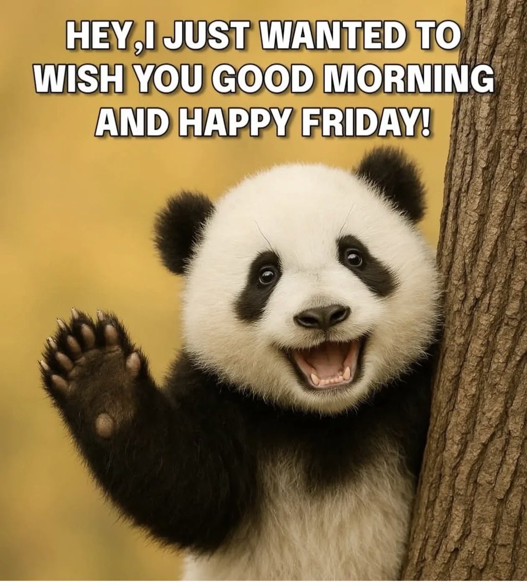 Good Morning….tgif…☀️