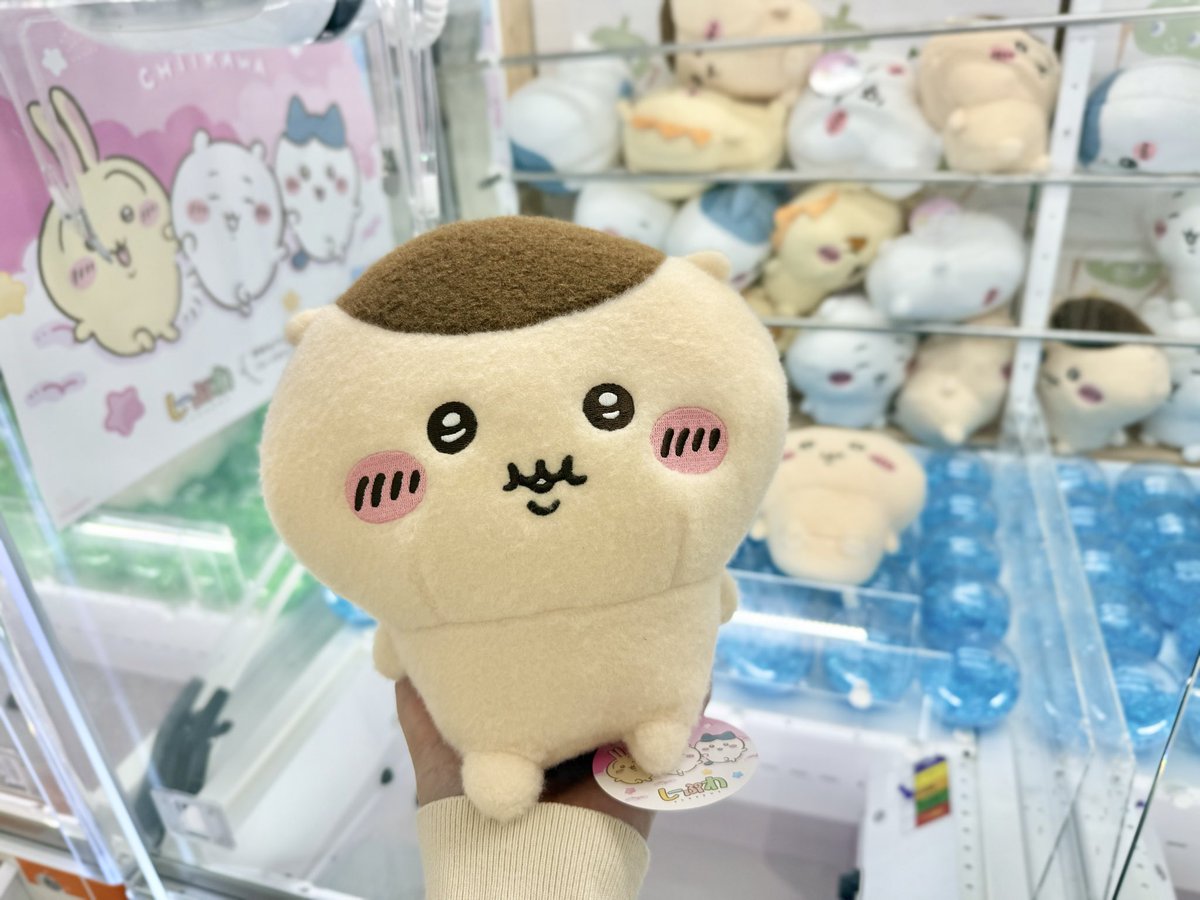 ねこっこページ cocco (こっこ) on X