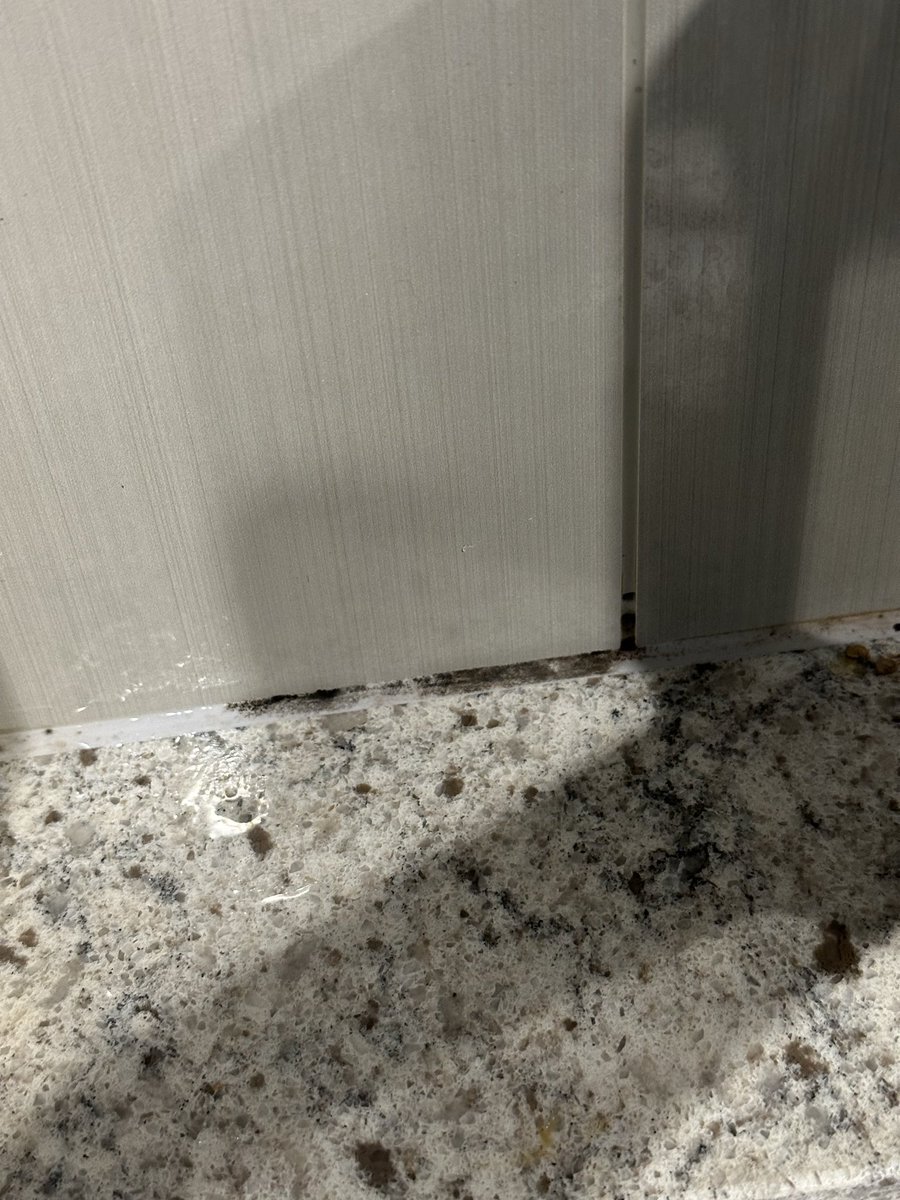 サノイ・ジェイソンページ 2021 Topps NPB Nippon Professional Baseball - Keita Sano