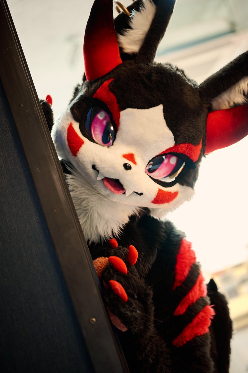 #FursuitFriday

기웃기웃

📸 : <a href="/_f0x15/">산여우 AcidF0x</a>