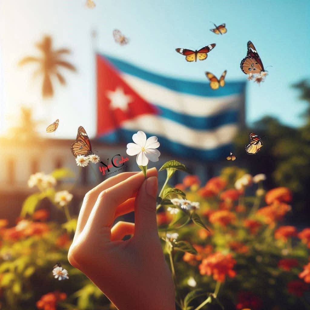 Buenos días, #IslaBonita.
Que florezca siempre la esperanza, aunque soplen vientos contrarios.
#Cuba